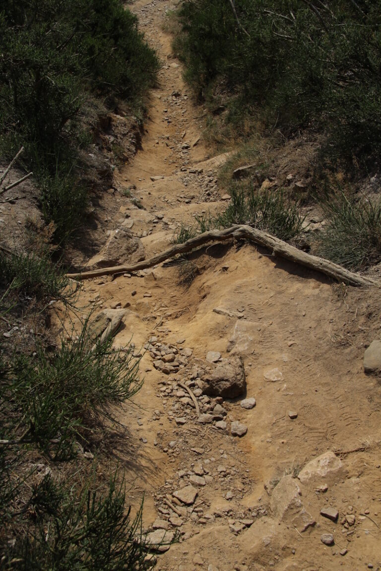 Un chemin encombré