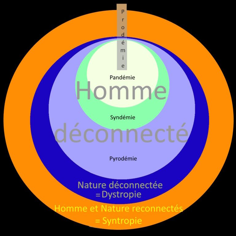 De la prodémie à la syntropie