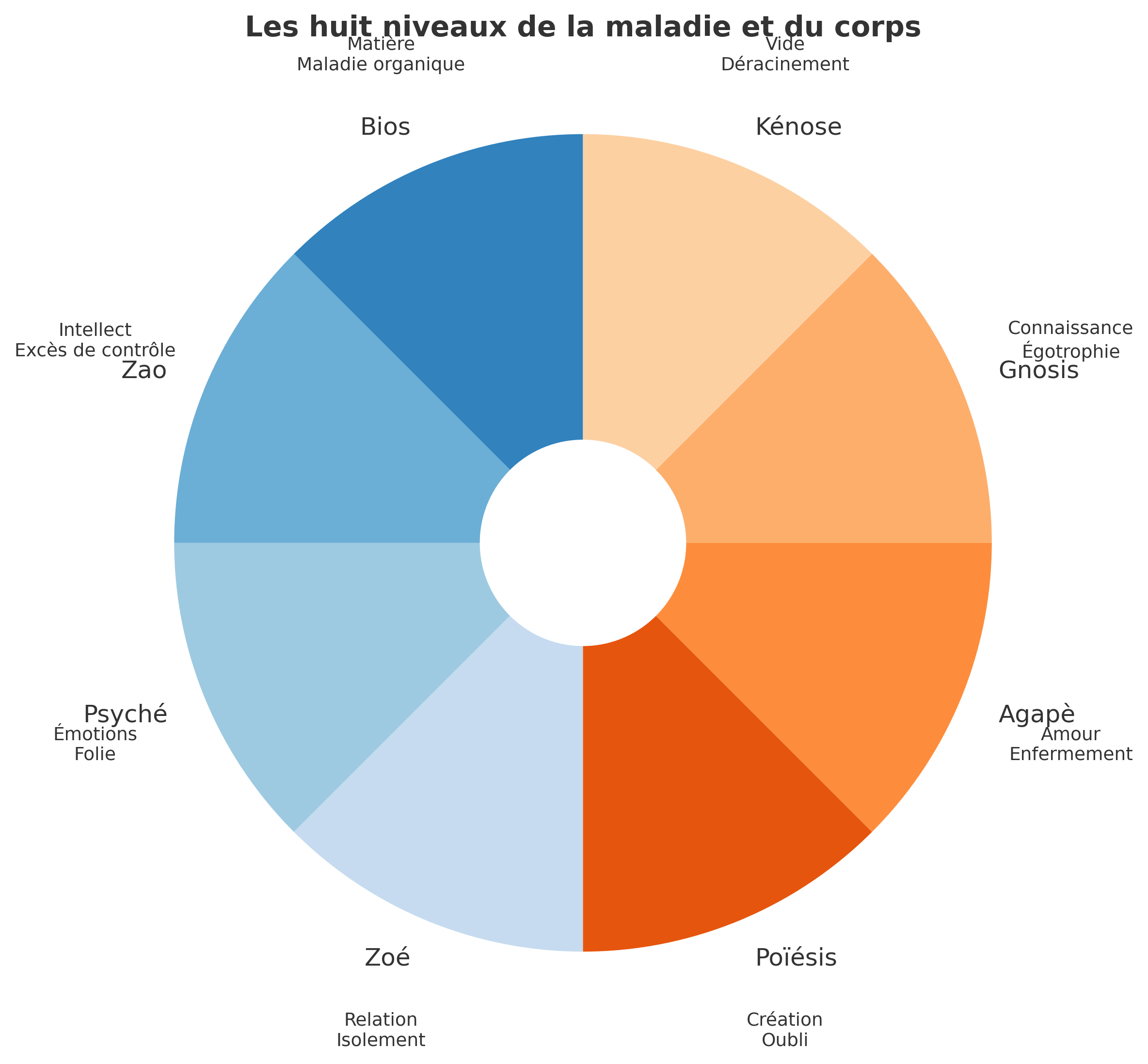 Schéma circulaire : les huit niveaux de la maladie et du corps (Bios, Zao, Psyché, Zoé, Poïésis, Agapè, Gnosis, Kénose).