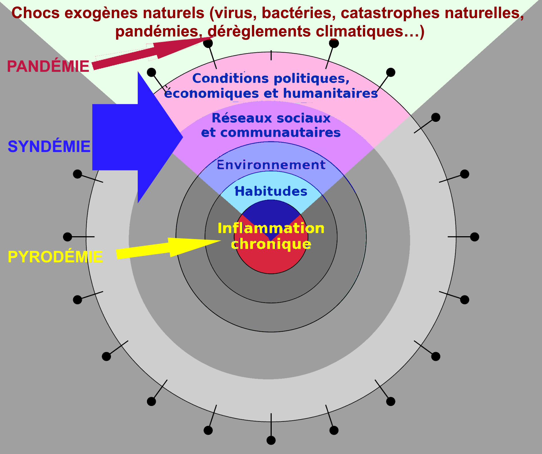 Symptôme ou Maladie ?
