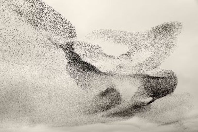 Marcher sur l’arête des interfaces